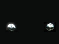 Night.jpg