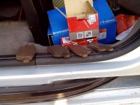 IMG_20130529_194327.jpg