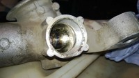 WP_20130529_018.jpg