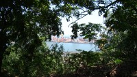 DSC06883.JPG