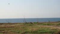 DSC06939.JPG