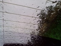 IMG_20130701_102206.jpg