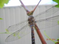 DSCN9614.JPG
