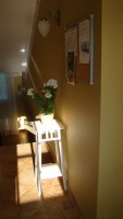 DSC08128.JPG