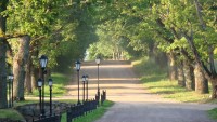 DSC07973.JPG