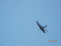 DSCN7374.JPG