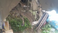 20160708_142957.jpg