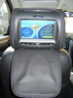 s8000025.jpg