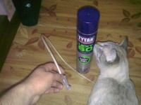 090320122621.jpg
